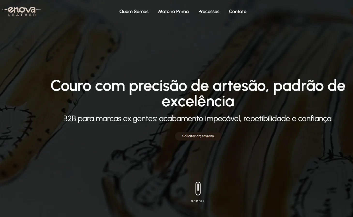 Página do projeto Enova Leather